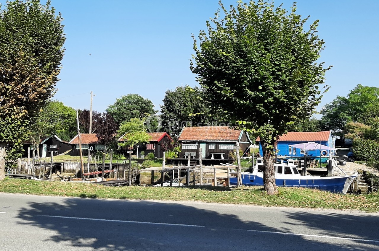 Maisons colorées et bateaux amarrés le long d'un petit port, entourés d'arbres et de verdure sous un ciel bleu.