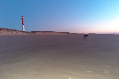 Phare blanc sur un îlot rocheux, accessible par une jetée étroite, entouré d'eau sous un ciel bleu clair.