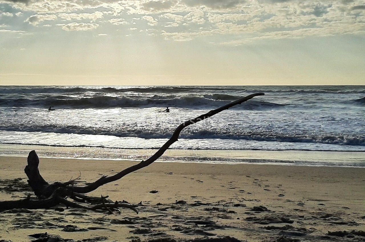 Un tronc d'arbre échoué sur une plage au coucher du soleil, avec des vagues et des nuages à l'horizon.