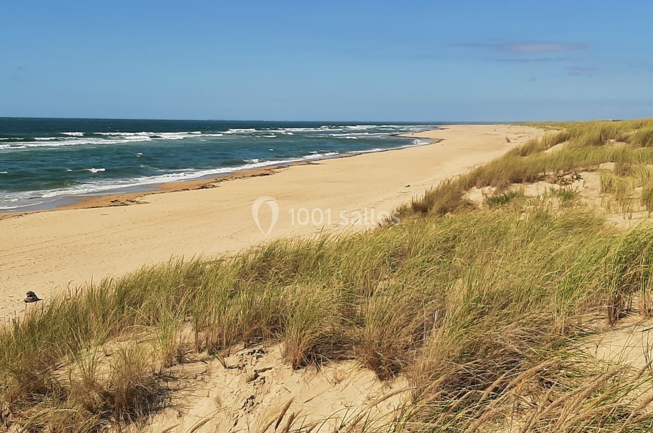 Plage de sable bordée de dunes herbeuses sous un ciel bleu, avec des vagues s'étendant à l'horizon.