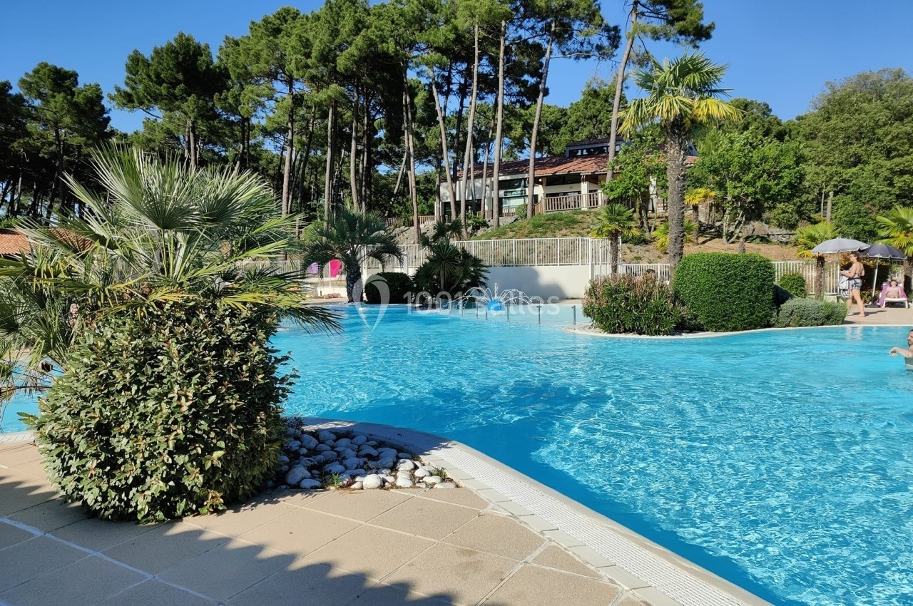 Piscine extérieure entourée de végétation méditerranéenne et de pins, avec des bâtiments en arrière-plan.
