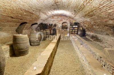 Location salle Castelsarrasin (Tarn-et-Garonne) - Château Lavalade #24