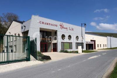 Chambre lumineuse avec deux lits, parquet au sol, murs clairs et fenêtres donnant sur un jardin verdoyant.