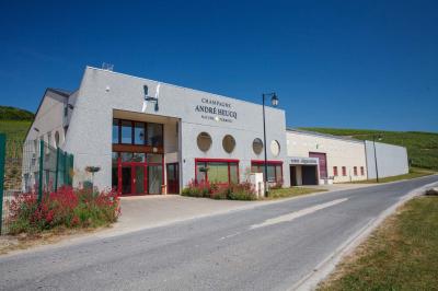 Chambre lumineuse avec deux lits, parquet au sol, murs clairs et fenêtres donnant sur un jardin verdoyant.