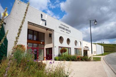 Chambre lumineuse avec deux lits, parquet au sol, murs clairs et fenêtres donnant sur un jardin verdoyant.