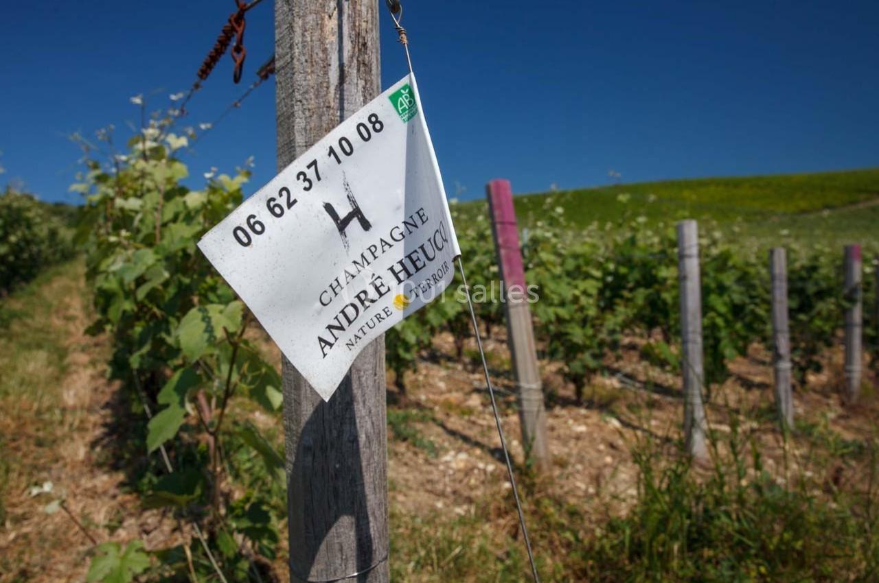 Poteau en bois avec une étiquette de vignoble ’Champagne André Heucq’ dans un champ de vignes sous un ciel bleu.