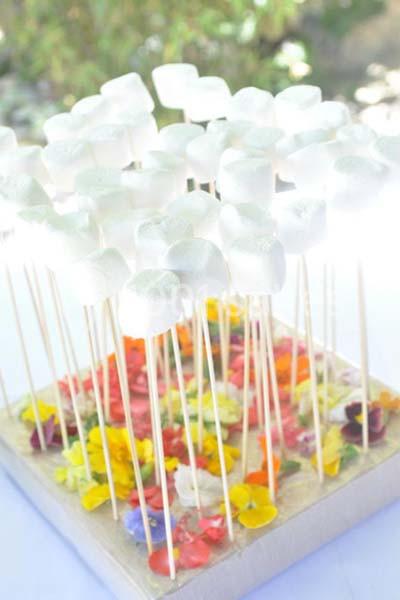 Location salle Monteux (Vaucluse) - Le Mas Des Songes #15