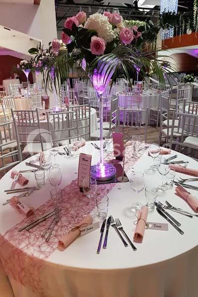 Location salle Illkirch-Graffenstaden (Bas-Rhin) - Rj 16 #9