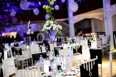 Location salle Illkirch-Graffenstaden (Bas-Rhin) - Rj 16 #24