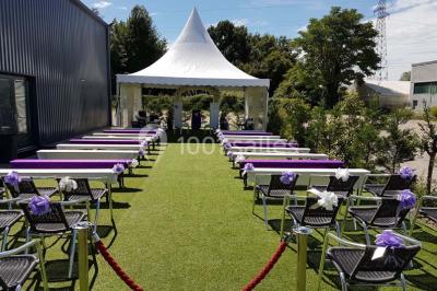 Location salle Illkirch-Graffenstaden (Bas-Rhin) - Rj 16 #24