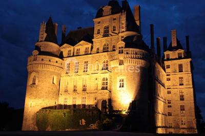 Location salle Brissac-Quincé (Maine-et-Loire) - Château De Brissac #24