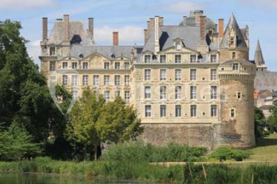 Location salle Brissac-Quincé (Maine-et-Loire) - Château De Brissac #24