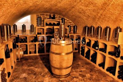 Location salle Champlat-et-Boujacourt (Marne) - Château Du Domaine Chopin #22