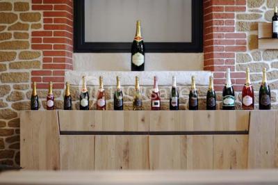 Location salle Champlat-et-Boujacourt (Marne) - Château Du Domaine Chopin #24