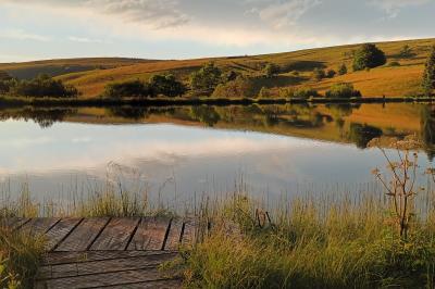Trois petits chalets colorés en bois, entourés d'arbres et de pelouse, sous un ciel dégagé.