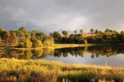 Trois petits chalets colorés en bois, entourés d'arbres et de pelouse, sous un ciel dégagé.