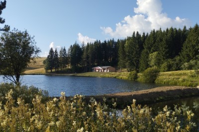 Trois petits chalets colorés en bois, entourés d'arbres et de pelouse, sous un ciel dégagé.