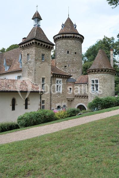 Location salle Saint-Chef (Isère) - Château Teyssier De Savy #4