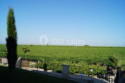 Bâtiment moderne entouré de vignes verdoyantes sous un ciel clair.