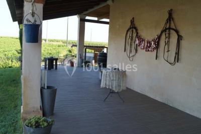 Bâtiment moderne entouré de vignes verdoyantes sous un ciel clair.