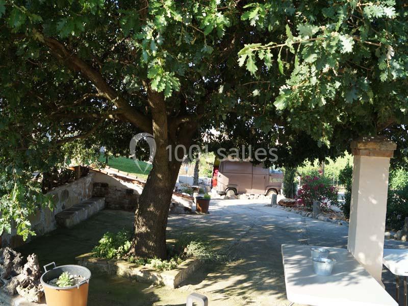 Un grand arbre ombrage une terrasse avec des tables, des chaises et des éléments de décoration extérieure.