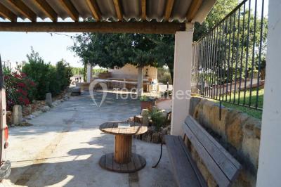 Bâtiment moderne entouré de vignes verdoyantes sous un ciel clair.