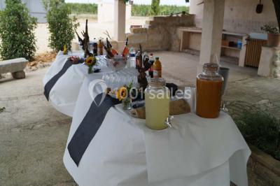 Bâtiment moderne entouré de vignes verdoyantes sous un ciel clair.