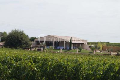 Bâtiment moderne entouré de vignes verdoyantes sous un ciel clair.