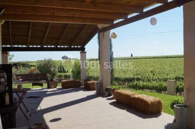 Bâtiment moderne entouré de vignes verdoyantes sous un ciel clair.