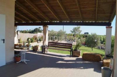 Bâtiment moderne entouré de vignes verdoyantes sous un ciel clair.