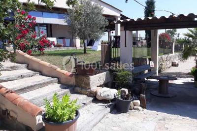 Bâtiment moderne entouré de vignes verdoyantes sous un ciel clair.
