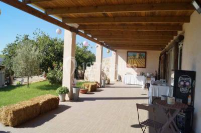 Bâtiment moderne entouré de vignes verdoyantes sous un ciel clair.