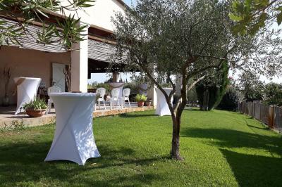 Bâtiment moderne entouré de vignes verdoyantes sous un ciel clair.