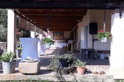 Bâtiment moderne entouré de vignes verdoyantes sous un ciel clair.