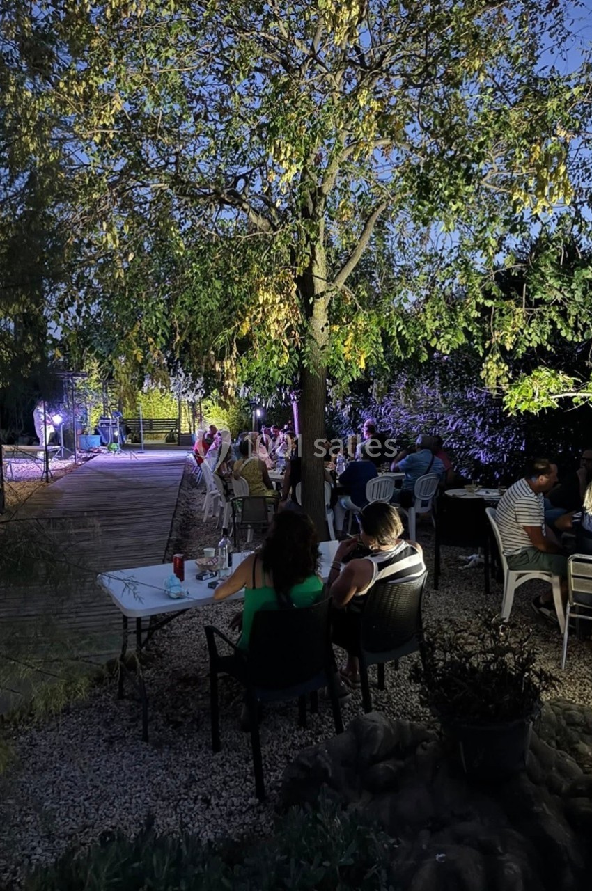 Personnes assises à des tables en extérieur, sous des arbres, éclairées par des lumières en soirée.