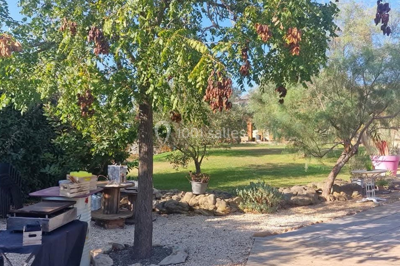Arbre feuillu avec des branches tombantes dans un jardin ensoleillé, entouré de végétation et d'une terrasse aménagée.