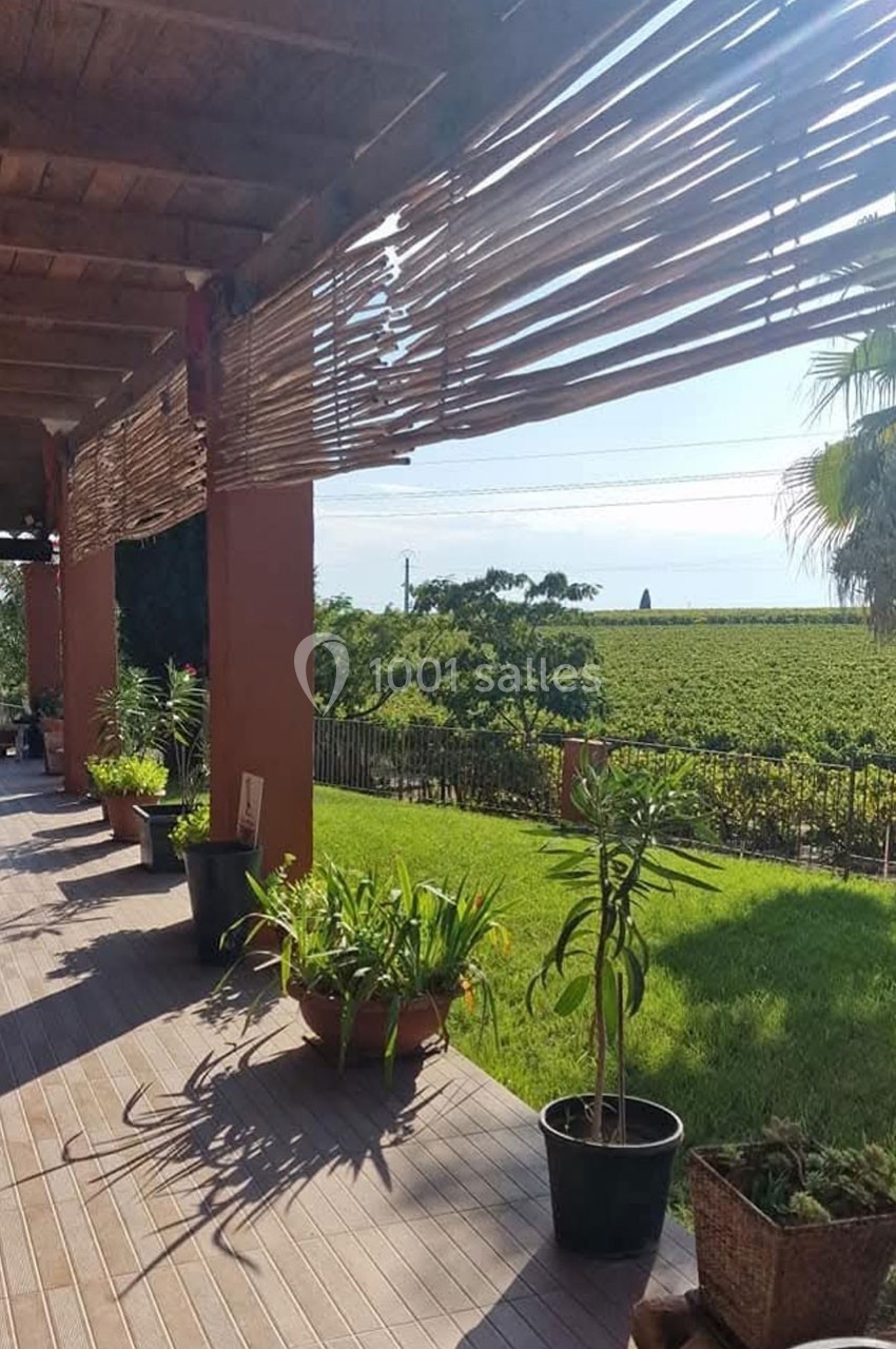 Terrasse ombragée avec plantes en pot, vue sur un jardin verdoyant et des vignobles à l'horizon.