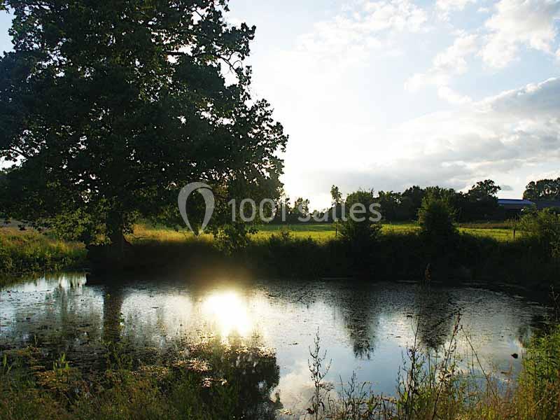 Location salle Avessé (Sarthe) - Château de Martigné #23