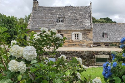 Chambre lumineuse avec un lit double, un mur bleu, une fenêtre avec rideaux jaunes et une porte en bois.