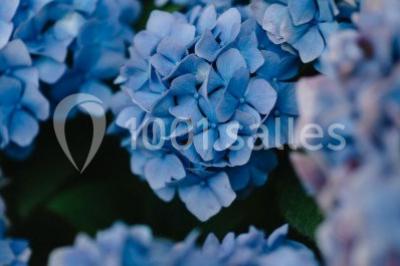 Salle de réception décorée avec des guirlandes lumineuses, remplie d'invités assis à des tables lors d'un événement.