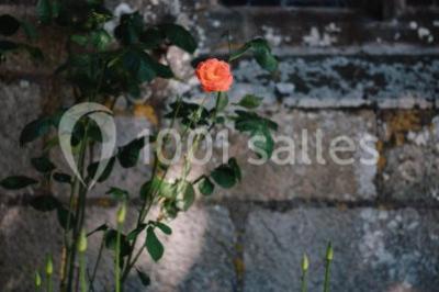 Salle de réception décorée avec des guirlandes lumineuses, remplie d'invités assis à des tables lors d'un événement.