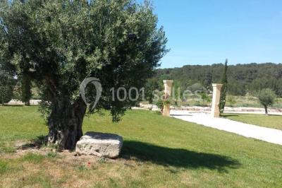 Location salle Saint-Mitre-les-Remparts (Bouches-du-Rhône) - L’espillier #21