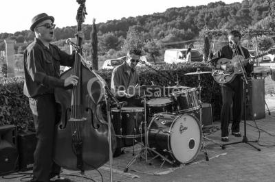 Location salle Saint-Mitre-les-Remparts (Bouches-du-Rhône) - L’espillier #21