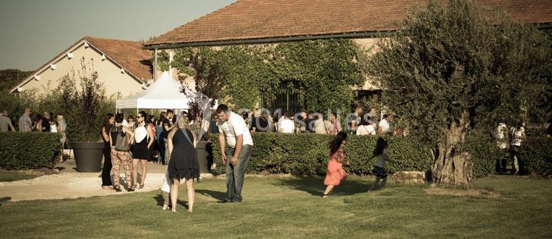 Location salle Saint-Mitre-les-Remparts (Bouches-du-Rhône) - L’espillier #5