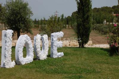 Location salle Saint-Mitre-les-Remparts (Bouches-du-Rhône) - L’espillier #21
