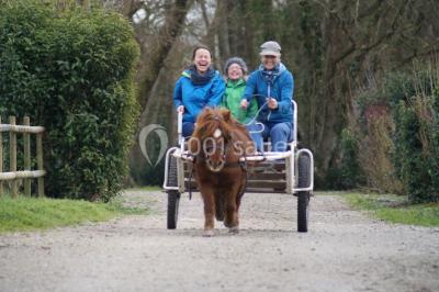 Location salle Saint-Denis-du-Payré (Vendée) - Domaine De Buchenois #24