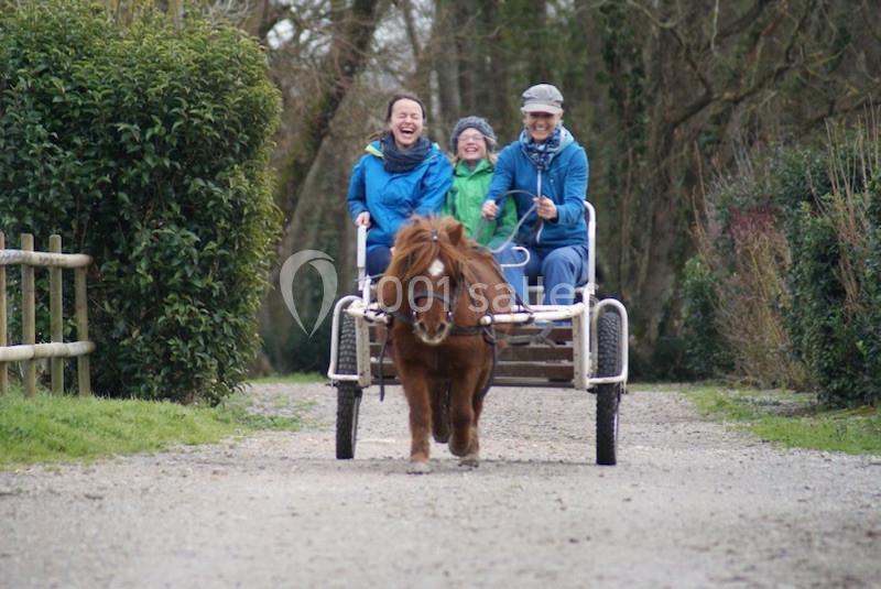 Location salle Saint-Denis-du-Payré (Vendée) - Domaine De Buchenois #15