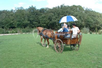 Location salle Saint-Denis-du-Payré (Vendée) - Domaine De Buchenois #24