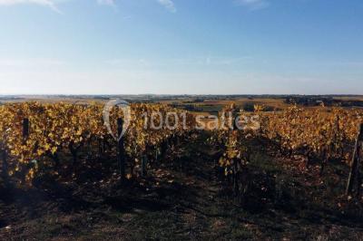 Location salle Rochefort-sur-Loire (Maine-et-Loire) - Domaine Fl #10