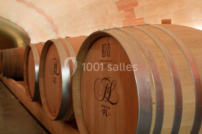 Location salle Rochefort-sur-Loire (Maine-et-Loire) - Domaine Fl #9